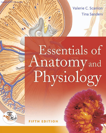 کتاب ملزومات آناتومی و فیزیولوژی Essentials of Anatomy and Physiology ویرایش پنجم